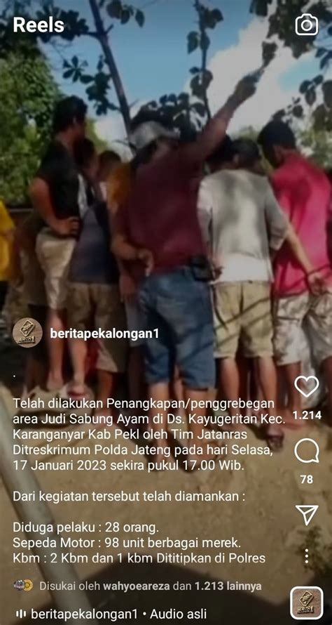 Viral Video Polisi Gerebek Judi Sabung Ayam Di Pekalongan Ini Faktanya