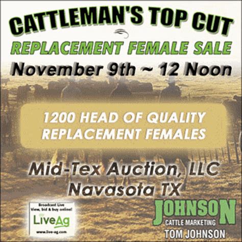 Mississippi Cattle Auction And Market Reports Cattle Range