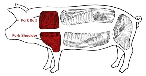 How to Make Smoked Pork Butt - Preparation, Rubbing & Smoking Guide