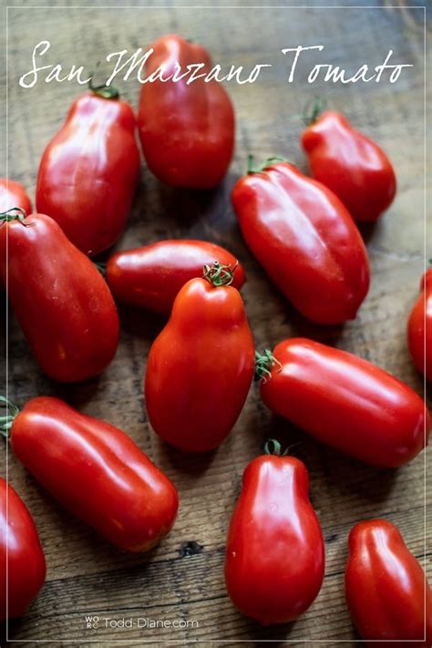 Roasted San Marzano Tomatoes Recipe So Good! | White On Rice Couple