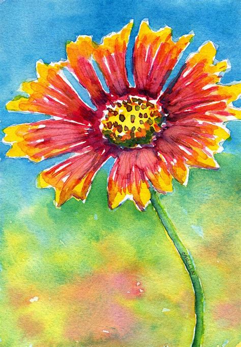 Indian Blanket Flower Painting by Carlin Blahnik CarlinArtWatercolor ...