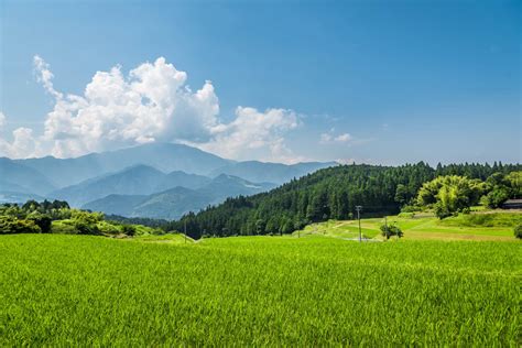 【岐阜縣必去景點17選】除了白川鄉，還有這些景點不可錯過！ 好運日本行