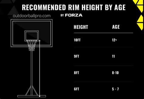 Height of a Basketball Hoop – In Meters | By Age | NBA