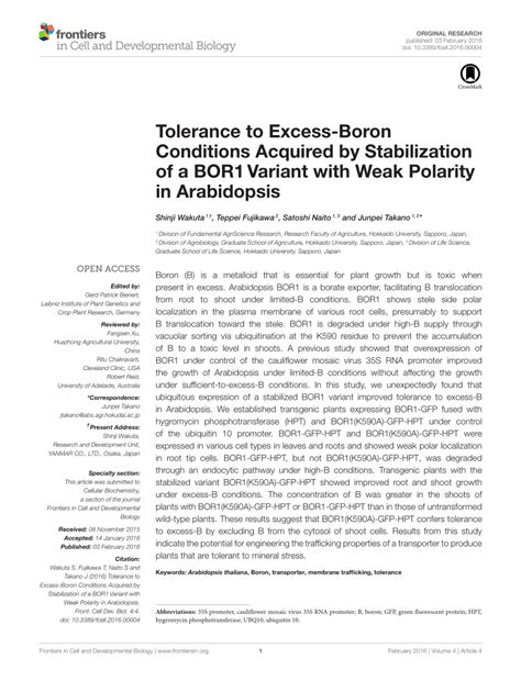 Pdf Tolerance To Excess Boron Conditions Acquired By Stabilization Of