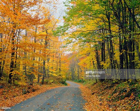 Country Road Through Forest In Autumn High Res Stock Photo Getty Images