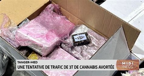 Vidéo Tanger Med Une tentative de trafic de 3T de cannabis avortée