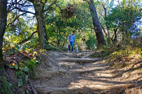 The Thrifty Traveler: Redwood Regional Park, Oakland