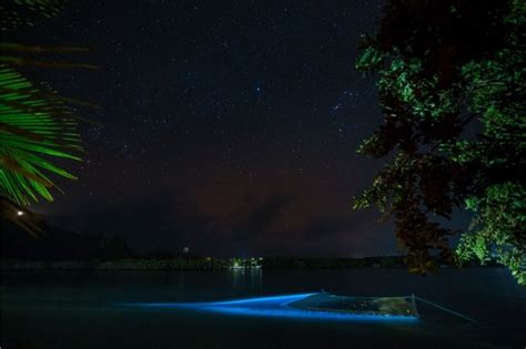 Playas Bioluminiscentes En M Xico