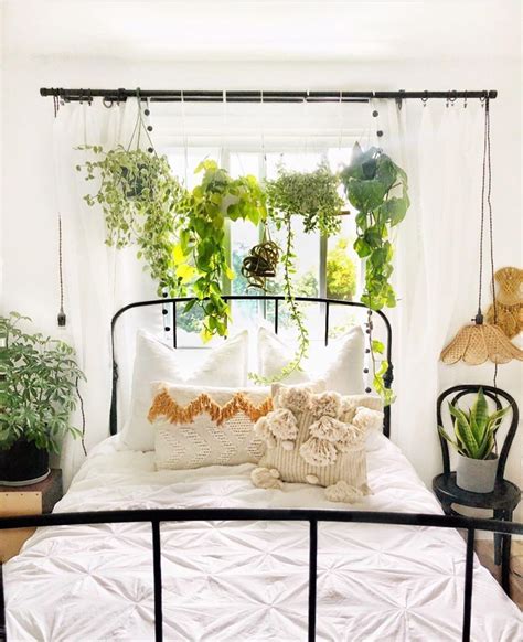 Perfect Hanging Plants In Bedroom Outdoor Wicker Baskets