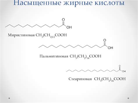 Липиды. Насыщенные и ненасыщенные жирные кислоты