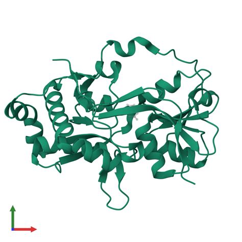 Pdb H Gallery Protein Data Bank In Europe Pdbe Embl Ebi