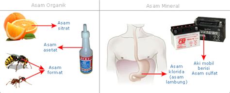 Asam Basa Asam Basa Dalam Kehidupan Sehari Hari
