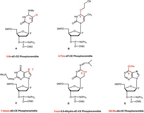 Purine And Pyrimidine Nucleotides