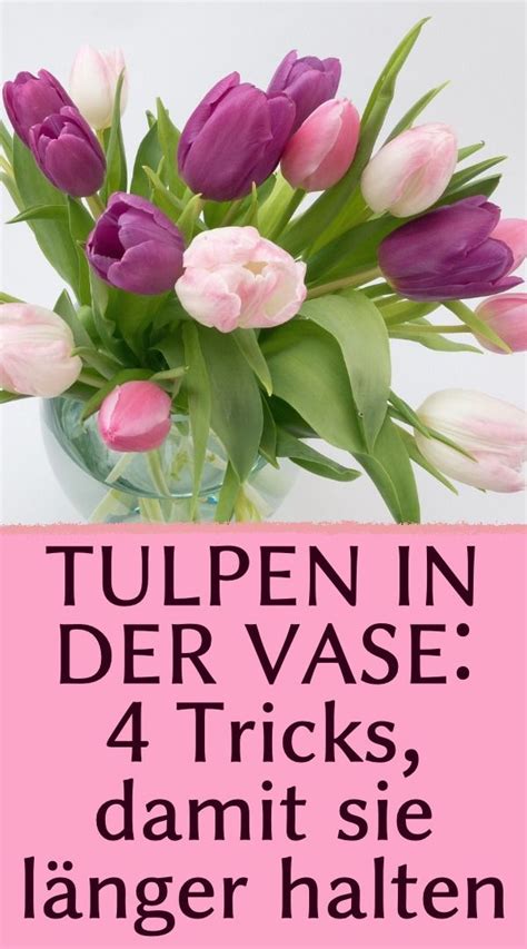 Tulpen in der Vase 4 Tricks damit sie länger halten in 2024 Tulpen