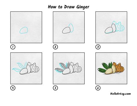 Ginger Drawing