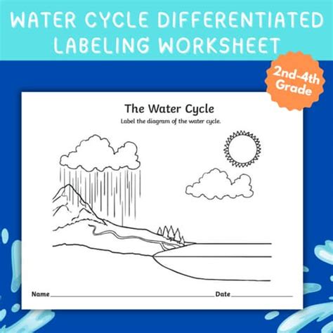 water cycle differentiated labeling worksheet    grade
