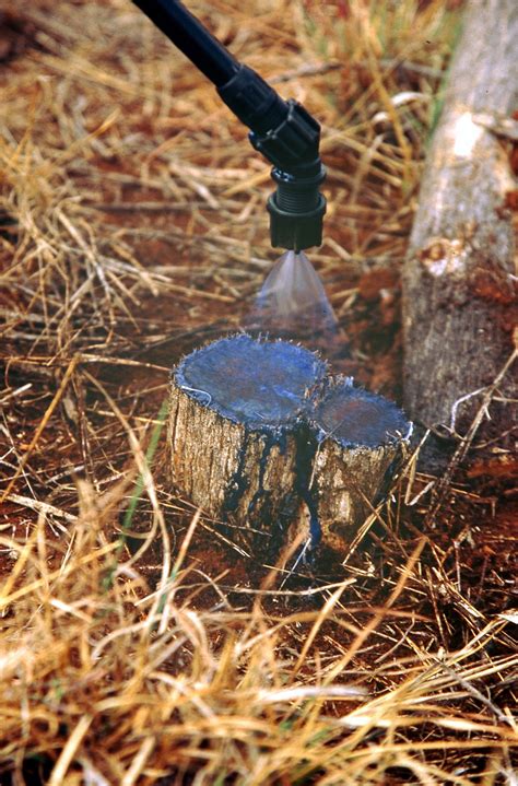 Home - Eco Range and Restore