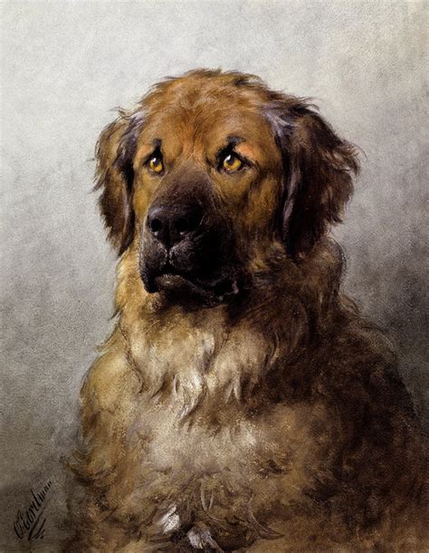 Head Leonberger (c.1880–c.1892) drawing high | Free Photo Illustration - rawpixel