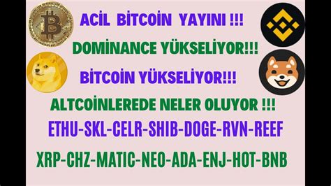 Kripto Para Analizi Bitcoin Altcoin Analizleri Alım Satım Lokasyonları