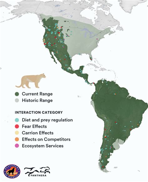 Carnivores Forests Of The Future