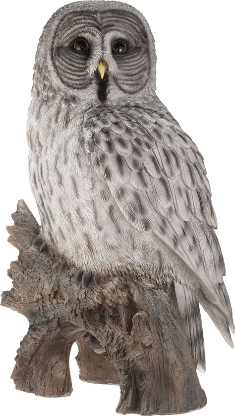 Amazon Hi Line Gift Ltd Eagle Owl On Branch With Wings Out Statue