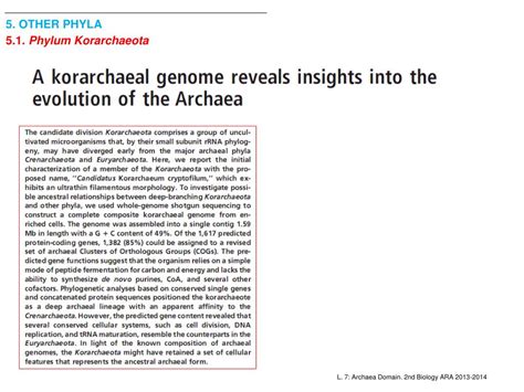 PPT - 1. Diversity and Phylogeny of Archaea 2. Phylum Euryarchaeota 3 ...