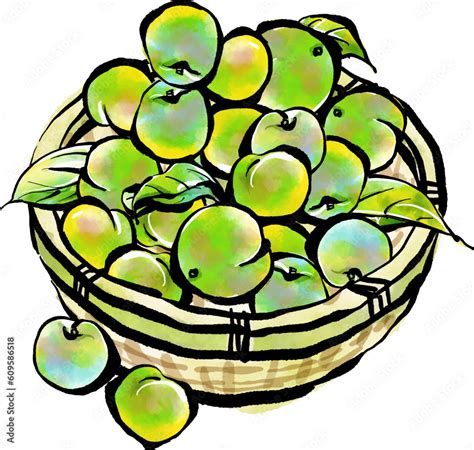 stock vector adobe stock