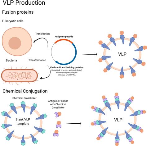 Frontiers Emerging Concepts And Technologies In Vaccine Development