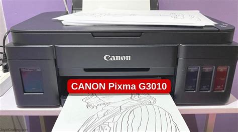 Canon G3010 Review: An Honest Opinion After a Month of Use