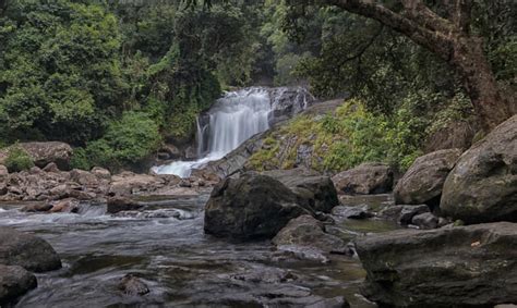 10 Best Waterfalls in Indore | Waterfalls near Indore