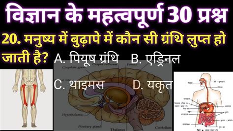 मानव शरीर की संरचनामानव पाचन तंत्रscience Gk In Hindiविज्ञान के