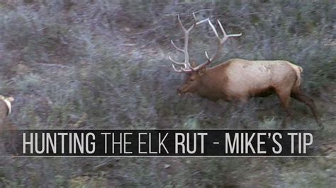 Elk Hunting The Rut Mike Eastmans Tips For The 4th Phase Youtube