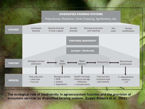 Agroecology: Principles and Practices