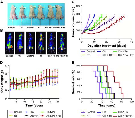 Evaluation Of Antitumor Efficiency In Vivo Notes A General View Of