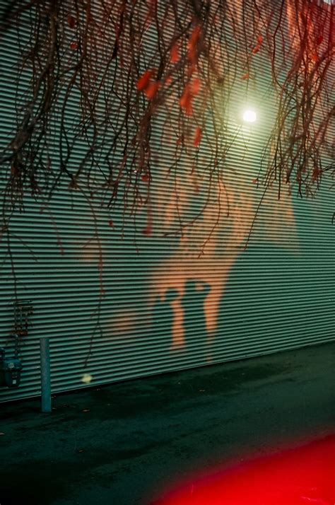 A Beginner’s Guide to Film Photography — Unraveled Academy