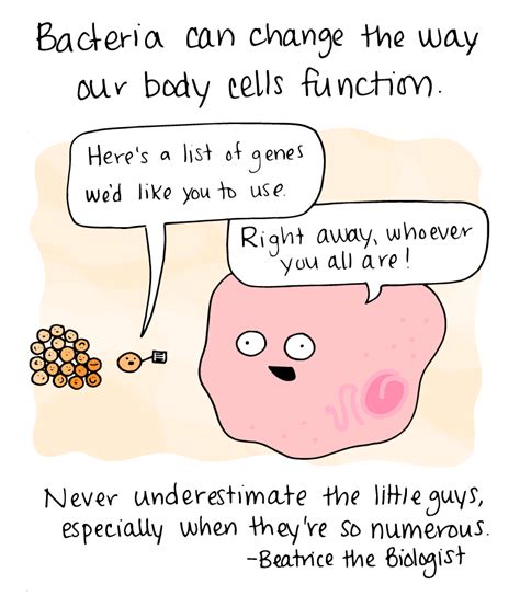 Bacteria And Our Body Cells Beatrice The Biologist