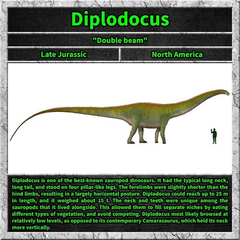 Unexpected Dino Lesson Online Dinosaur Education