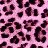 leopard print flash  backgrounds