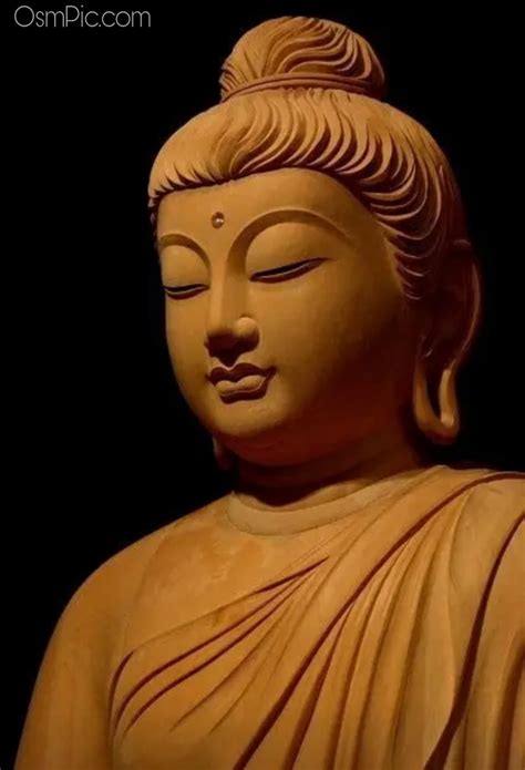 Top 50 Gautam Buddha Images Quotes Photos HD Wallpapers Hindi Status