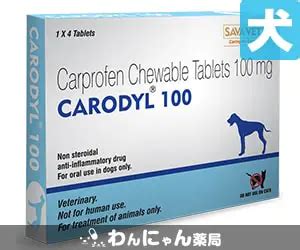 カロダイル通販関節炎鎮痛剤わんにゃん薬局