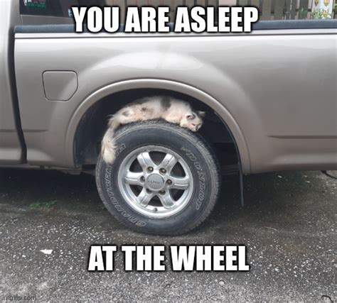 Asleep At The Wheel Imgflip