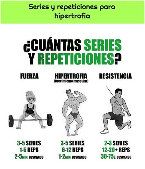 Series Y Repeticiones Para Hipertrofia Rutinas De Entrenamiento De