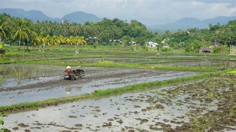 Belum Punya Perda Lp B Dkp Klu Tak Dapat Dak Fisik Lombok Post