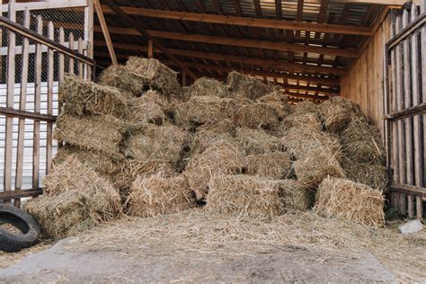 Storing Hay For Winter How To Keep It Dry Western Packaging