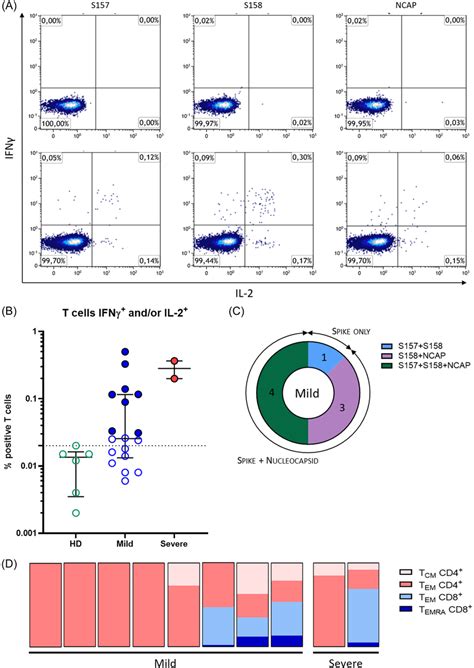 Cytokine Release Assay For The Detection Of Sarscov Specific Memory