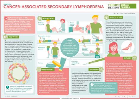 Cancer Associated Secondary Lymphoedema Nature Reviews Disease Primers