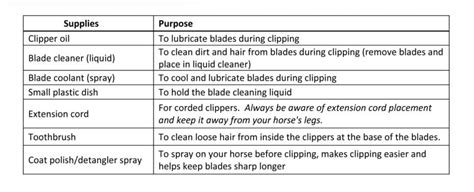 Handy Horse Clipping Tips, Styles and Strategies