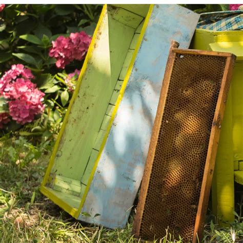 Buying Used Beekeeping Equipment - Carolina Honeybees