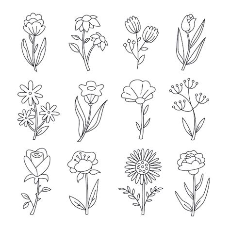 Simple Flower Outline Flower Drawing Png Vector Psd And Clipart