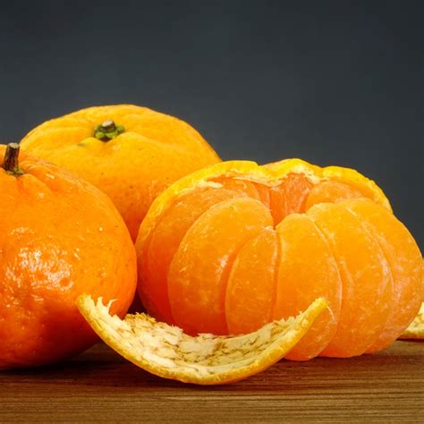 Japanese Seedless Mandarin Garden Express